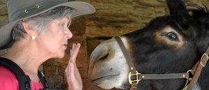 Giving Back & Looking Forward: An Interview with Pat Nathan