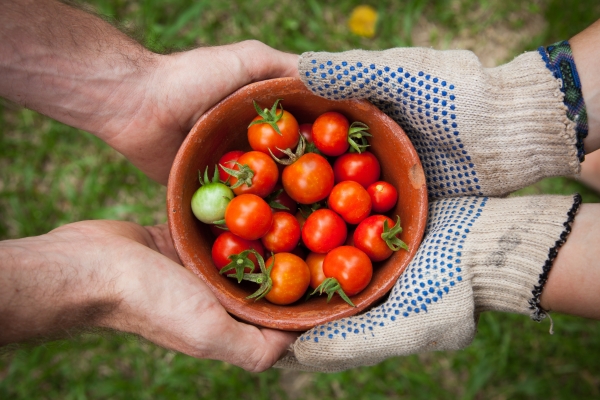 Two people holding a small bowl of tomatoes