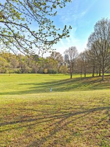 Gratitude for our Planet: Celebrating an Adapted 50th Anniversary of Earth Day