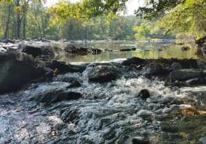 Haw River Assembly | The Voice for the Haw River