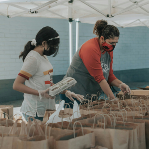 300x300 graphics for website (2)