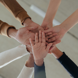 300x300 graphics for website (3)