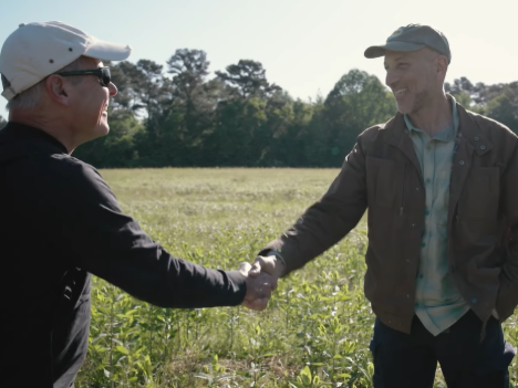 Adobe Express - file (6)