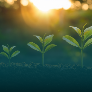 Donor-Advised Funds Still a Sure Bet in 2026